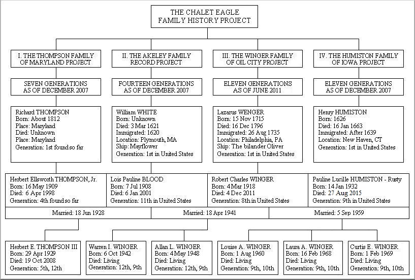 Main Project Tree